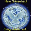 Cover New Gänsehaut